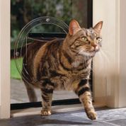 Transcat Cat Door installed in glass for cats